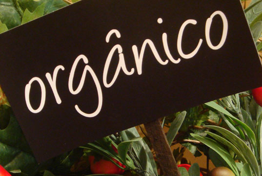 placa-de-alimentos-organico1